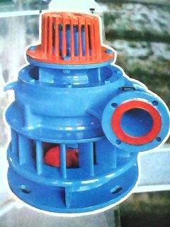 水轮泵1